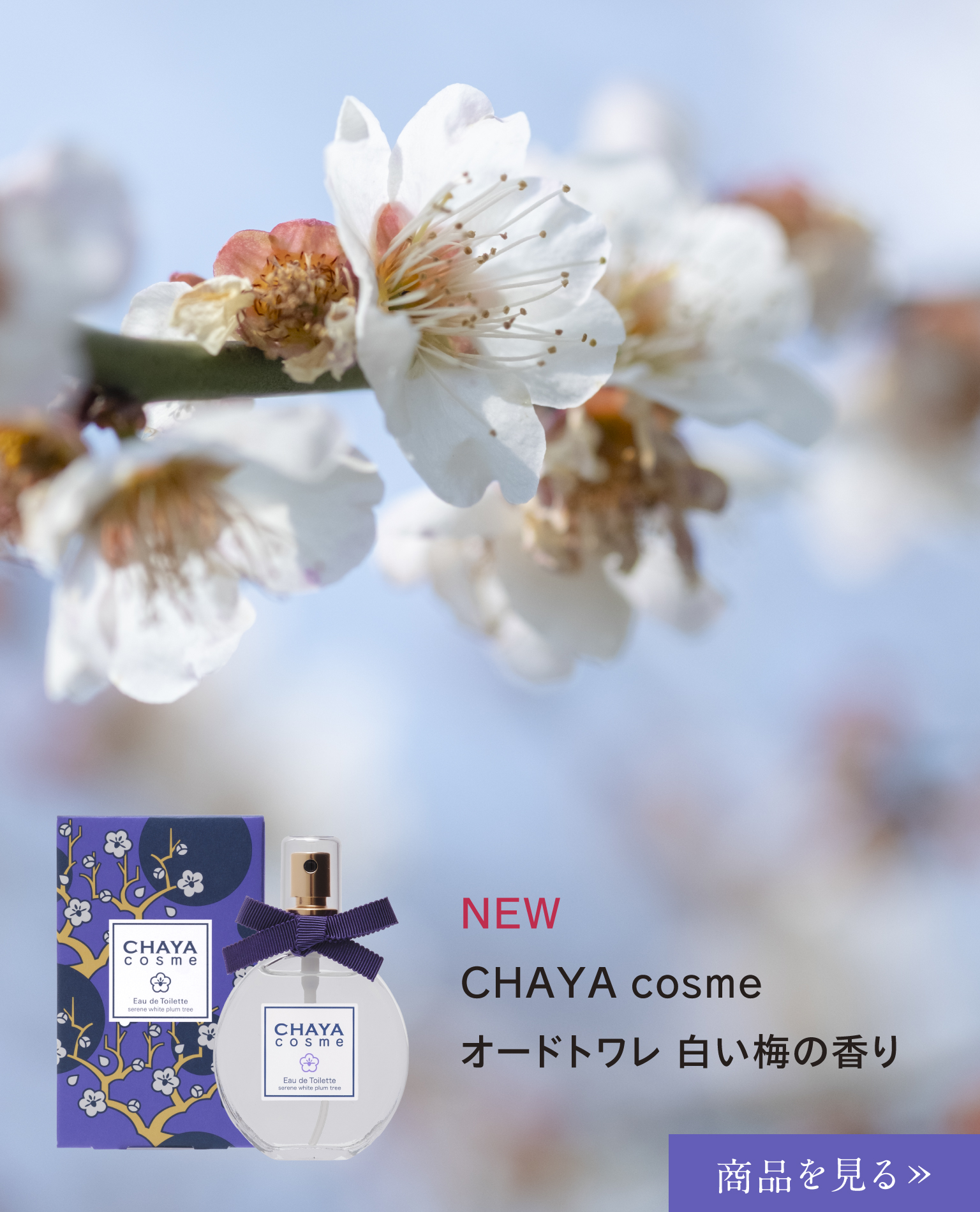 箔座公式通販 | HAKUZA ONLINE SHOP