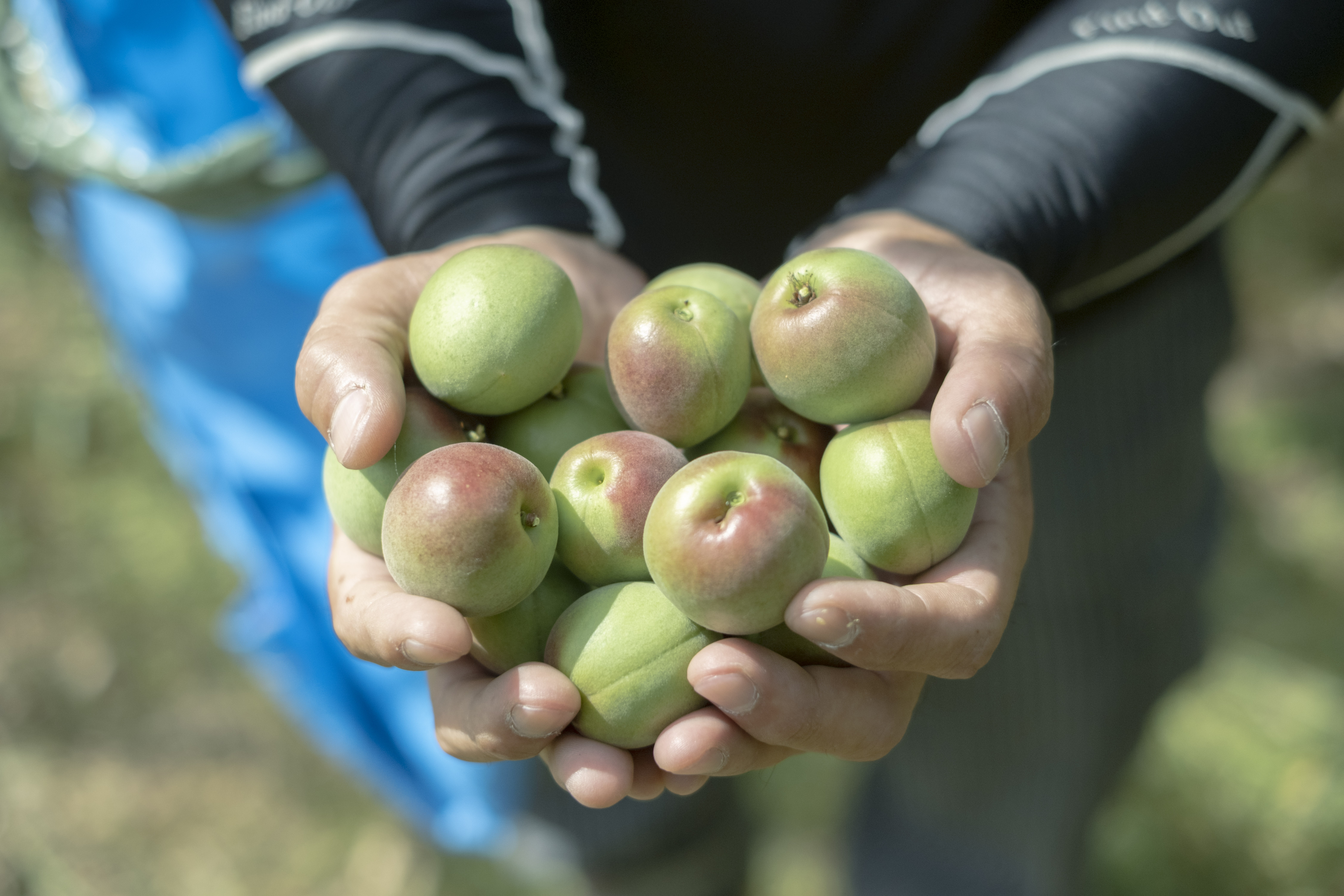 メインビジュアル